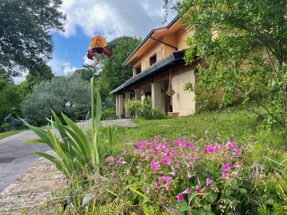 Botanea Guest House Fonte Nuova Zewnętrze zdjęcie